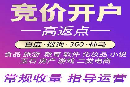 竞价SEM托管案例：精准营销的利器